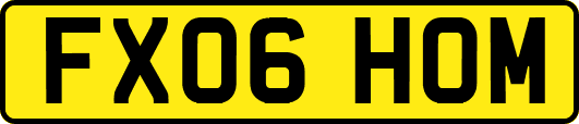 FX06HOM