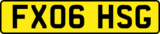 FX06HSG