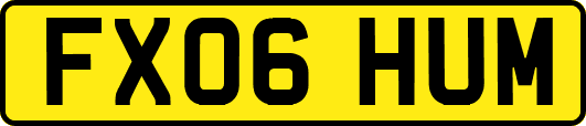 FX06HUM