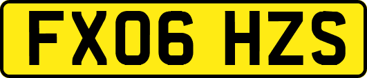 FX06HZS