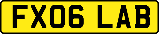 FX06LAB
