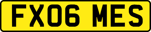 FX06MES