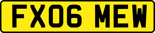 FX06MEW