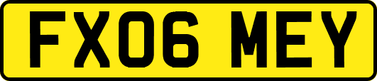 FX06MEY