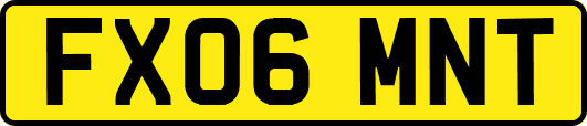 FX06MNT