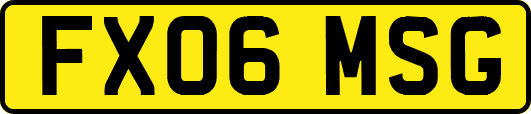 FX06MSG