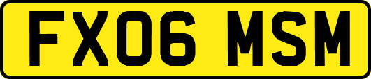 FX06MSM