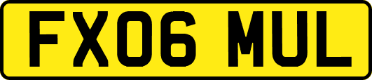FX06MUL