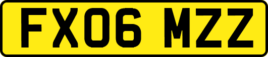 FX06MZZ