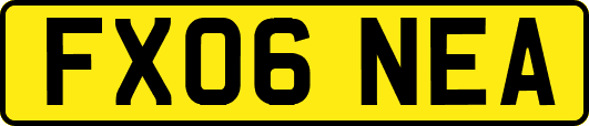 FX06NEA