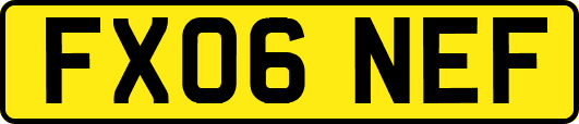 FX06NEF