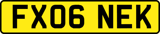 FX06NEK
