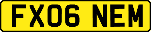 FX06NEM