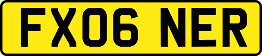 FX06NER
