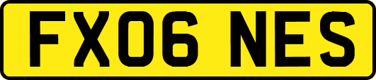 FX06NES