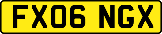 FX06NGX