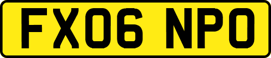 FX06NPO