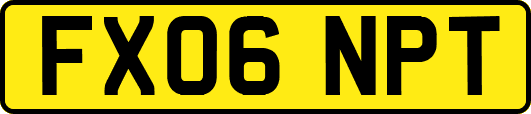 FX06NPT