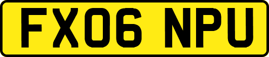 FX06NPU