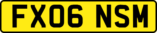 FX06NSM
