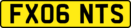 FX06NTS
