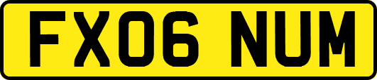 FX06NUM