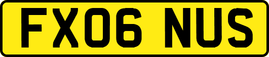 FX06NUS