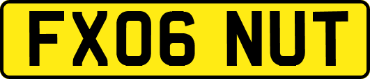 FX06NUT