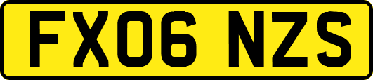 FX06NZS