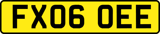 FX06OEE