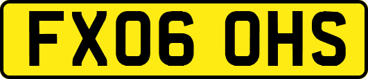 FX06OHS