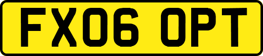 FX06OPT