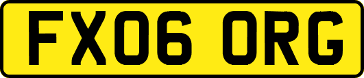 FX06ORG