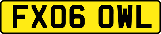 FX06OWL