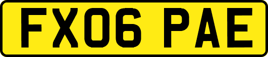 FX06PAE