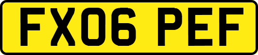 FX06PEF