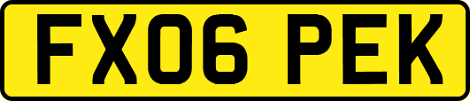 FX06PEK
