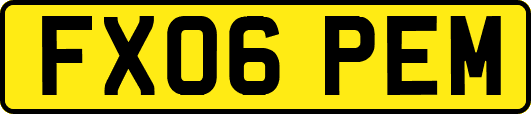 FX06PEM