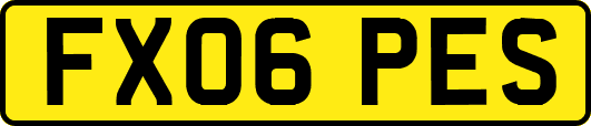 FX06PES