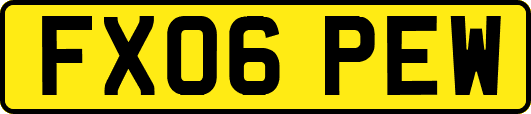 FX06PEW