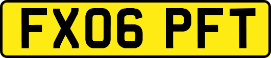 FX06PFT