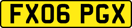 FX06PGX