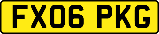 FX06PKG
