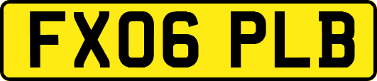 FX06PLB