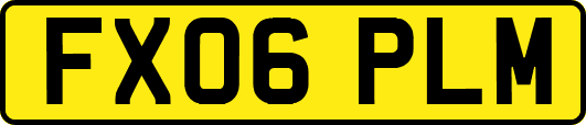 FX06PLM