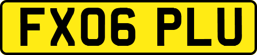 FX06PLU