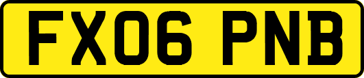 FX06PNB