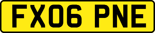FX06PNE