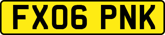 FX06PNK