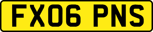FX06PNS